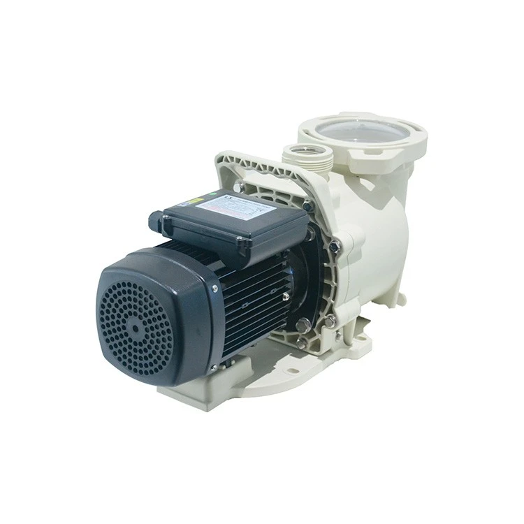Pool Filter Circulation Pump best Pool Filter Circulation Pump best