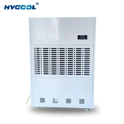 Indoor Pool Room Dehumidifier