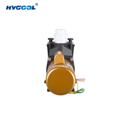 Stainless Steel Pool Pump