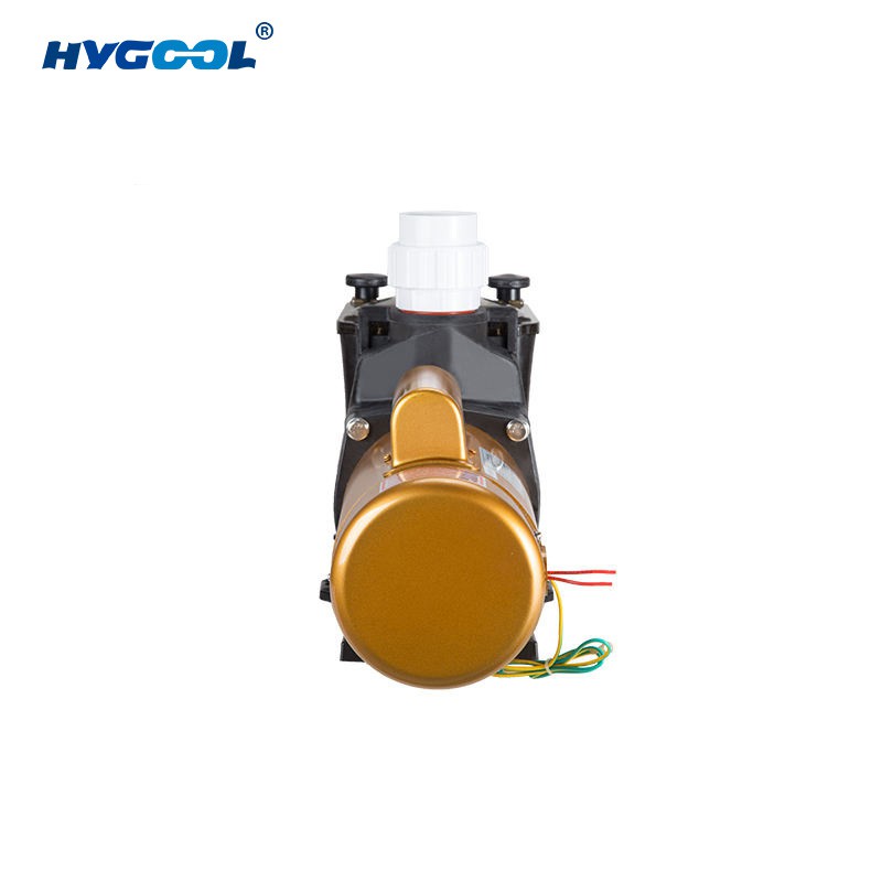 Stainless Steel Pool Pump