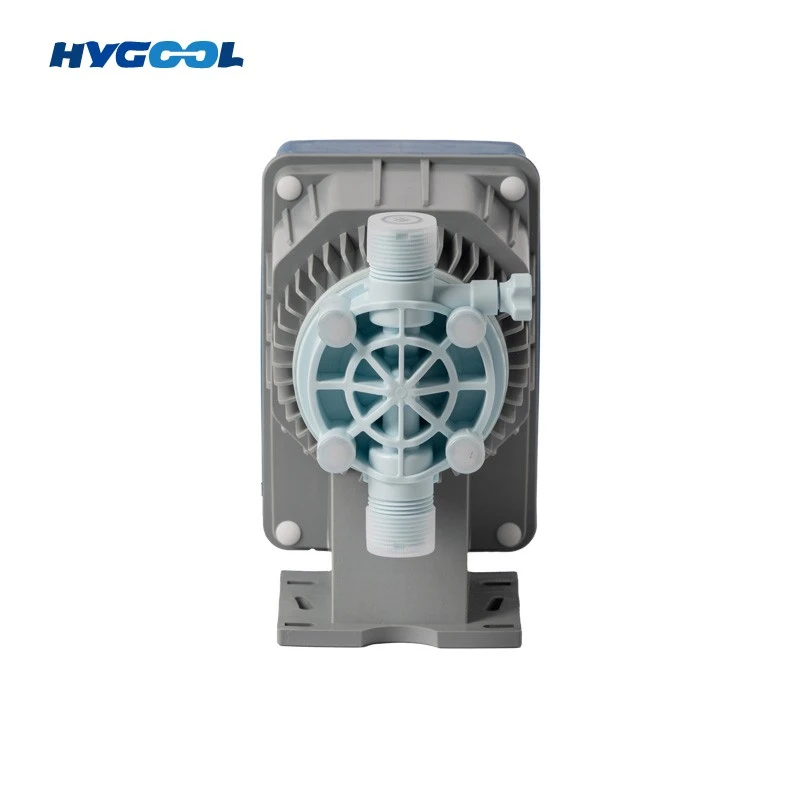 Swimming Pool Chlorine Dosing Pump factory Swimming Pool Chlorine Dosing Pump factory