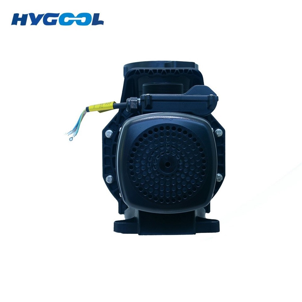 Variable Frequency Drive Pool Pump best